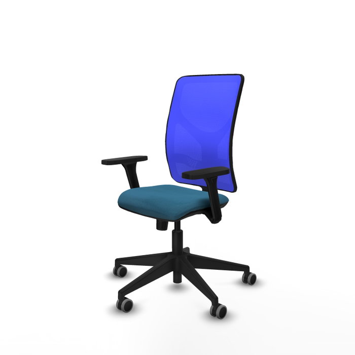PIQUERAS Y CRESPO Chaise Motilla Synchro, Vert pétrole et Bleu PIQUERAS Y CRESPO Chaise Motilla Synchro, Vert pétrole et Bleu