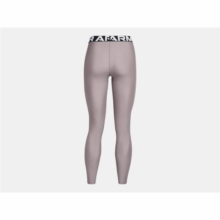 Leggings de Sport pour Femmes Under Armour Hg Authentics Gris Blanc
