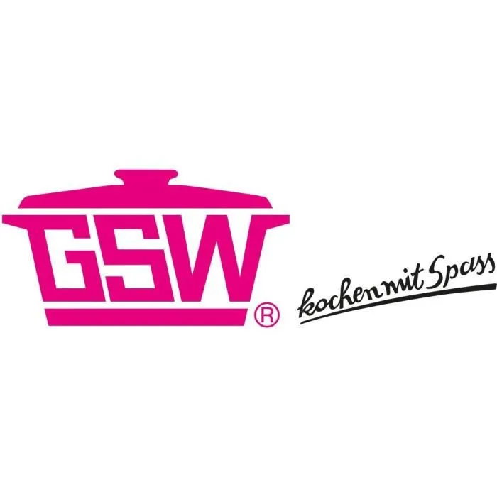 GSW Saladier isotherme DESIGN 20 cm en acier inoxydable double paroi, capacité 2 L, finition satinée