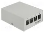 DELOCK Panneau de brassage Keystone 4 ports gris