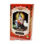 Radhe Shyam Poudre de Henné pour Tatouage ECO