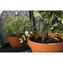 Gardena Arrosoir automatique de vacances - Kit complet programmable pour 36 plantes