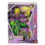 Mattel Monster High Collector Dawn of Dance Clawdeen
