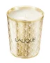 Lalique Noir Premier - Plume Blanche 1901