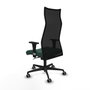Chaise de Bureau Albacete Piqueras y Crespo B1C036G Vert