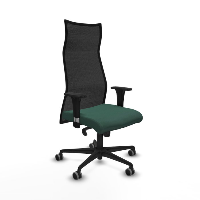 Piqueras y Crespo Chaise de Bureau Albacete Vert Bouteille et Noir Piqueras y Crespo Chaise de Bureau Albacete Vert Bouteille et Noir