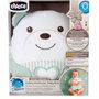 Chicco Peluche Tendre Ourson Vert