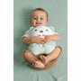 Chicco Peluche Tendre Ourson Vert