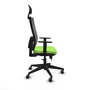 Chaise de Bureau avec Appui-tête Piqueras y Crespo 1D066G1 Pistache