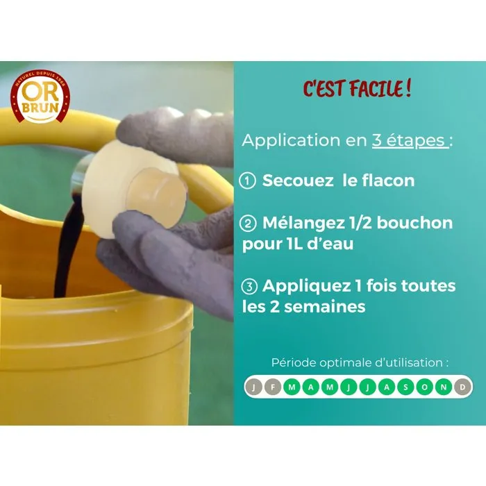 Or Brun OBRECLPLINTER250 - Engrais liquide pour plantes vertes d'intérieur - Favorise la croissance et le feuillage - Flacon 250 ml - Fabriqué en France