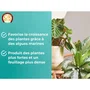 Or Brun OBRECLPLINTER250 - Engrais liquide pour plantes vertes d'intérieur - Favorise la croissance et le feuillage - Flacon 250 ml - Fabriqué en France