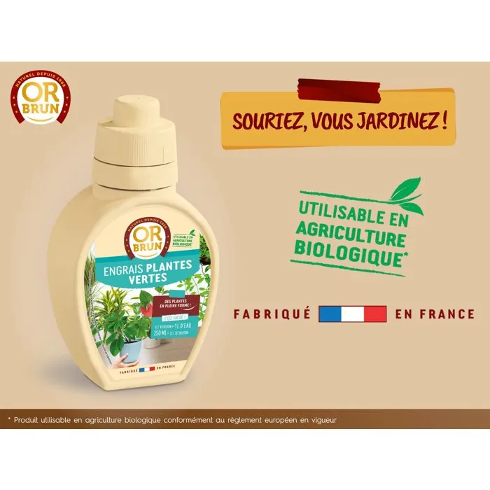 Or Brun OBRECLPLINTER250 - Engrais liquide pour plantes vertes d'intérieur - Favorise la croissance et le feuillage - Flacon 250 ml - Fabriqué en France