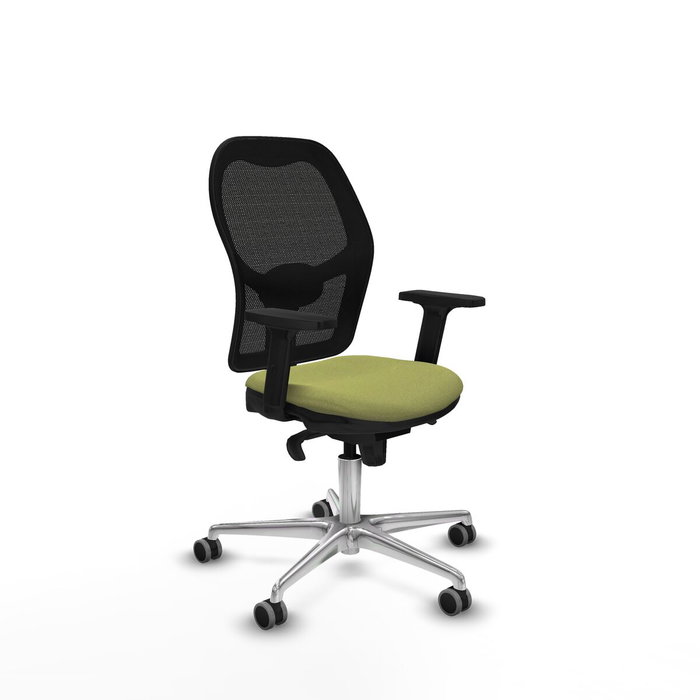 Piqueras y Crespo Chaise de jeu 2D086G0 Vert Piqueras y Crespo Chaise de jeu 2D086G0 Vert