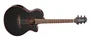 Takamine GF49 E/A FX Cutaway Guitare Électro-Acoustique Noir Cosmique Perle