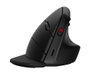 HP Souris Sans Fil Ergonomique Verticale 925 Noir – Bluetooth & 2,4 GHz, Batterie Rechargeable, 4000 DPI, 6 Boutons Programmable