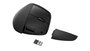 HP Souris verticale ergonomique HP 925, Noir