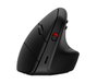 HP Souris verticale ergonomique HP 925, Noir