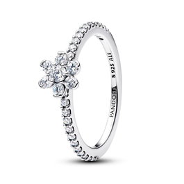 Bague Femme Pandora 194499C01-56 Argenté 16