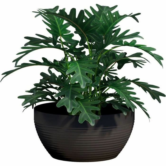 Garden ID Coupe Green Care Impact Noir Anthracite 35 x 16 cm Garden ID Coupe Green Care Impact Noir Anthracite 35 x 16 cm