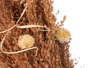 GIFTDECOR Lot de 12 Vases Hauts Assortis Naturel + Ocre