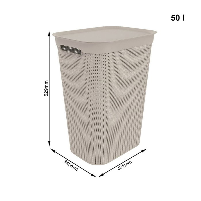 Rotho Mangeoire pour chats en plastique Rotho Mangeoire pour chats en plastique