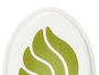 Acorde Lot de 4 Mini Désodorisants Bambou Gel Vert 24x7x4cm (Set de 12)