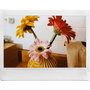 Fujifilm Photo Printer INLIWGY Gris