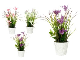 IBERGARDEN Lot de 12 plantes avec fleurs assorties et pots aspect vieilli (3 couleurs)