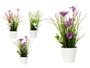 IBERGARDEN Lot de 12 plantes avec fleurs assorties et pots aspect vieilli (3 couleurs)