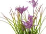 IBERGARDEN Lot de 12 plantes avec fleurs assorties et pots aspect vieilli (3 couleurs)