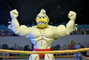 NECA Teenage Mutant Ninja Turtles (Archie Comics) Stump Wrestling Ace Duck 18 cm