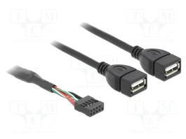 DELOCK Câble USB 2.0 avec 2 socles USB A et connecteur à broches 10 broches, 0,4m
