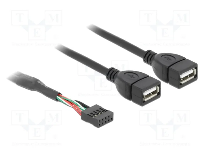 DELOCK Câble USB 2.0 avec 2 socles USB A et connecteur à broches 10 broches, 0,4m