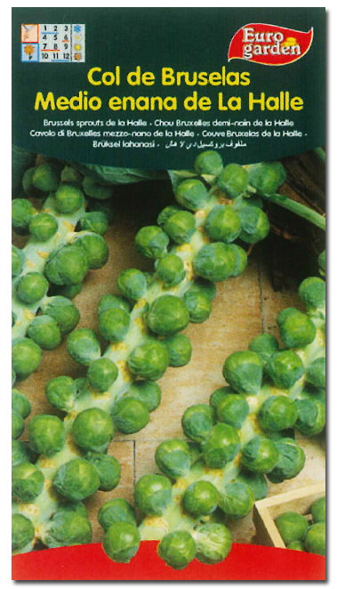 Semillas Fito Horticolas Chou de Bruxelles 1/2 Enana Dela Halle (Boîte de 10) Semillas Fito Horticolas Chou de Bruxelles 1/2 Enana Dela Halle (Boîte de 10)