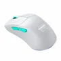 XTRFY Souris Gaming M64 Wireless - Souris Gamer Sans Fil Ultralégère 53g - Capteur PixArt 3395 - 75h Autonomie - Conçu pour l'eSport - Blanc