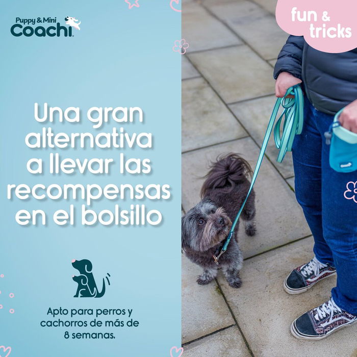 Harnais pour Chien Coachi