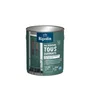 Ripolin - Peinture multi-supports mat vert cèdre RAL 6000 - Application sur bois, métal, béton, PVC - Résiste aux UV et intempéries - 2 litres