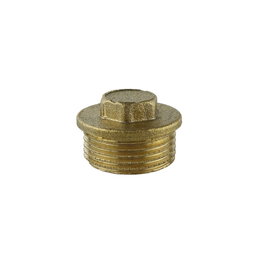 Aqua Control Bouchon mâle 3/4'' en laiton zingué