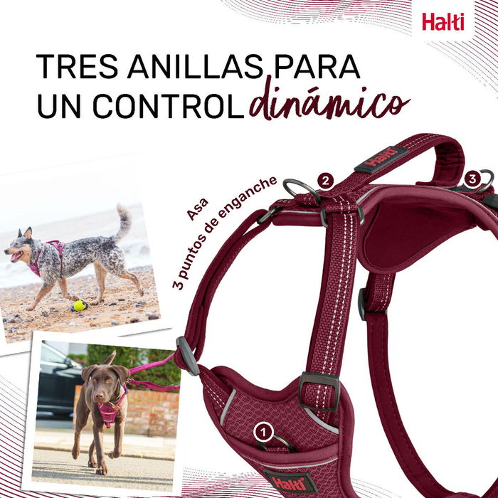 Harnais pour Chien Company of Animals Bordeaux XL 50-78 cm Harnais pour Chien Company of Animals Bordeaux XL 50-78 cm