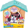 Moose Toys Niche surprise pour chien - Jeu de construction et de décoration avec chiot aléatoire et accessoires - À partir de 5 ans