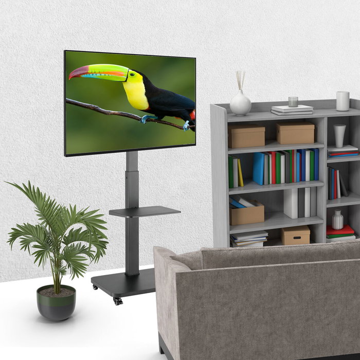 Support de TV TM Electron 40 kg Support de TV TM Electron 40 kg