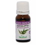HERDIBEL Eucalyptus huile essentielle 10 ml