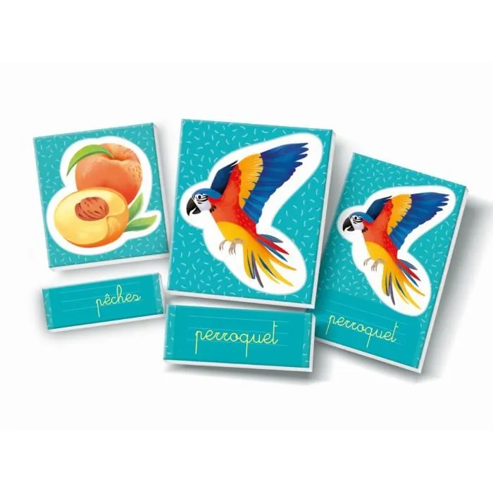 Clementoni - Jeu Éducatif Montessori Les Mots en Images - Développement du Lexique, Logique et Observation - Avec Cartes et Étiquettes de Classement - Pour Enfants Dès 3 Ans