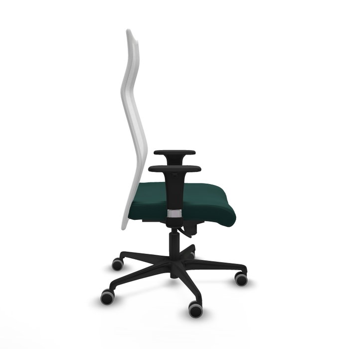 Piqueras Y Crespo Fauteuil Albacete, Assise Vert Bouteille et Dossier Blanc