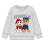 Sweat-shirt Enfant The Paw Patrol Gris