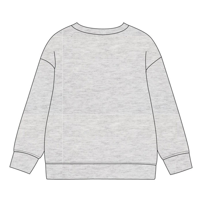 Sweat-shirt Enfant The Paw Patrol Gris