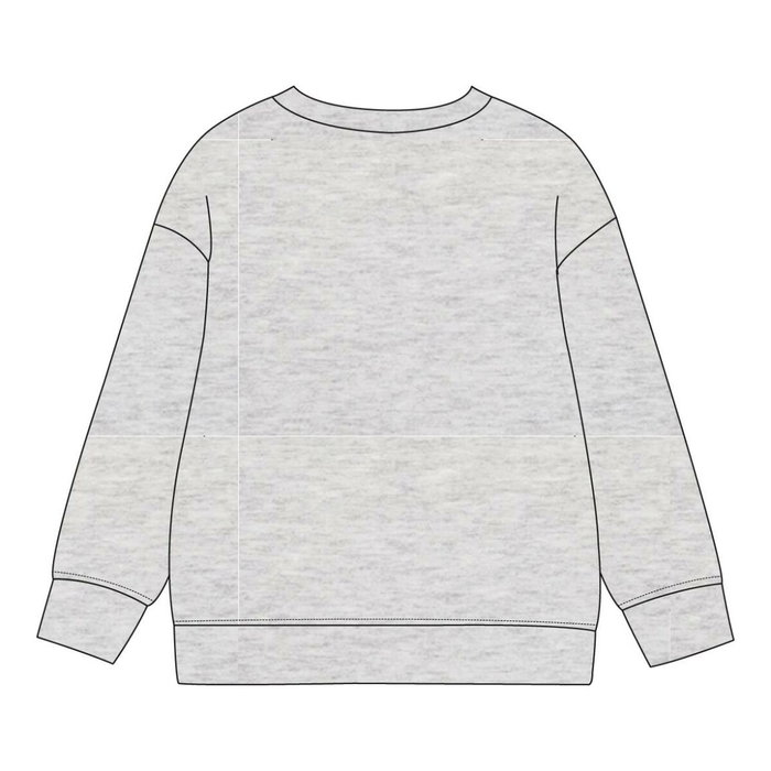 Cerdá Sweat-shirt à capuche en coton brushed Paw Patrol pour garçon - Taille 3 ans, Gris
