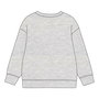 Cerdá Sweat-shirt à capuche en coton brushed Paw Patrol pour garçon - Taille 3 ans, Gris