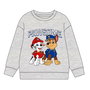 Cerdá Sweat-shirt à capuche en coton brushed Paw Patrol pour garçon - Taille 3 ans, Gris