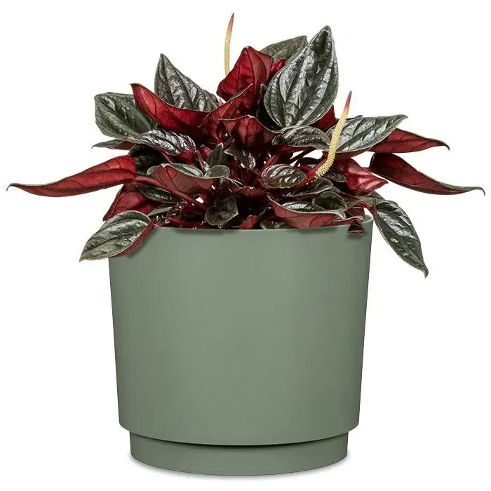 Garden Id Cache-pot Plano rond Vert clair - Ø 25 cm - H 22 cm - 7 Litres - Pour intérieur et extérieur